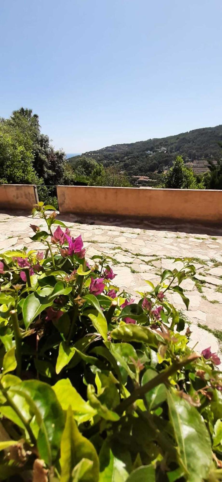 Corti Mori Sa Riera Vistas Mediterraneas Begur Eksteriør billede