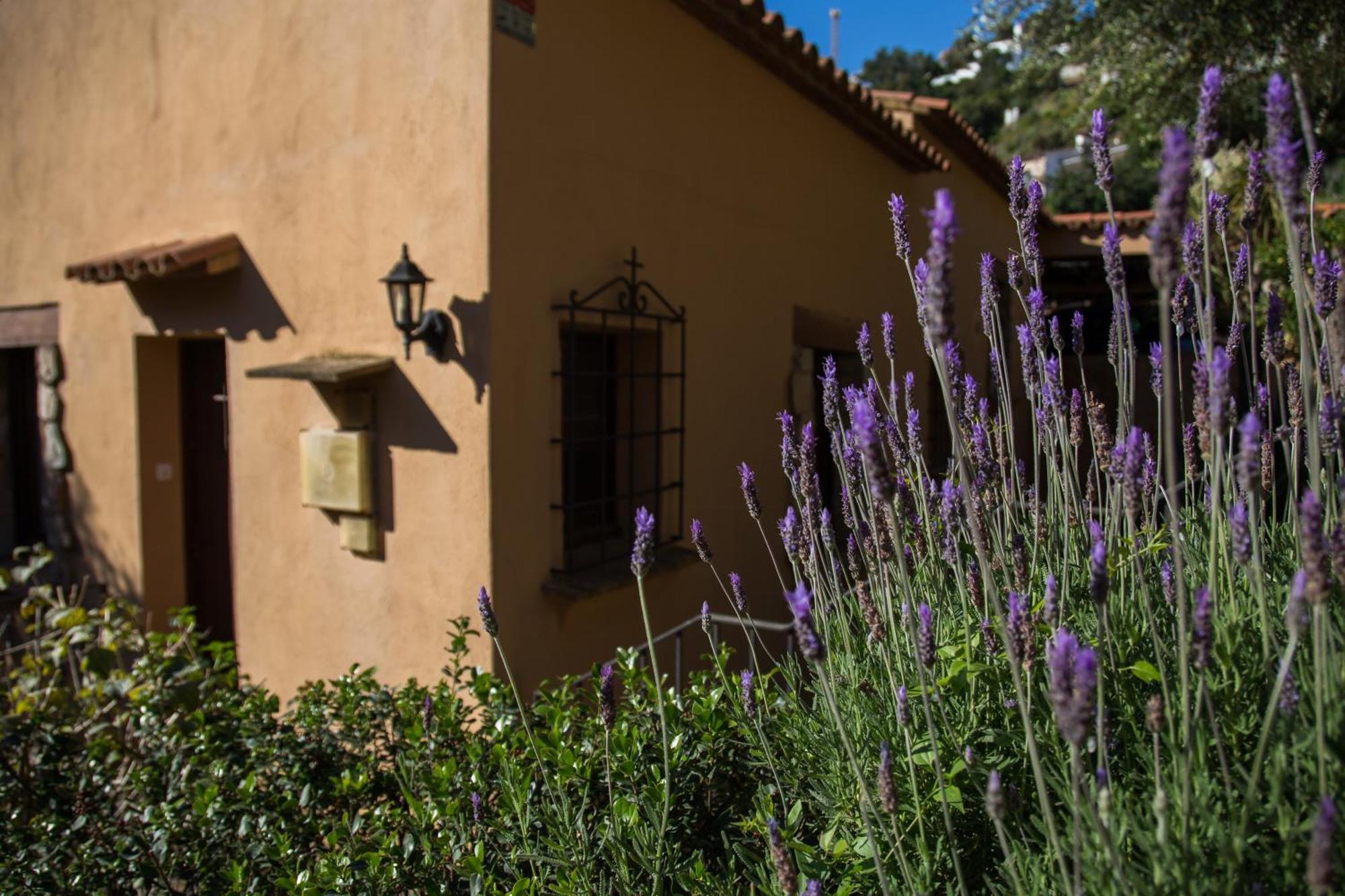 Corti Mori Sa Riera Vistas Mediterraneas Begur Eksteriør billede